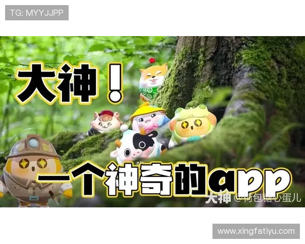 KB体育官网平台支持多种支付方式,轻松充值体验畅快游戏的便捷途径 KB体育官网平台支持多种支付方式,轻松充值体验畅快游戏的便捷途径