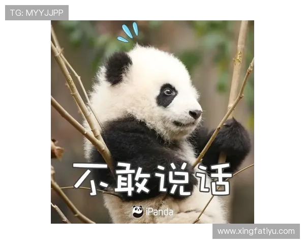 众博体育全面解析:最新体育赛事资讯与专业分析助你掌握比赛动态 众博体育全面解析:最新体育赛事资讯与专业分析助你掌握比赛动态