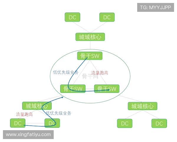 爱奇艺体育国际入口与国内版本的区别及选择使用的最佳方案推荐
